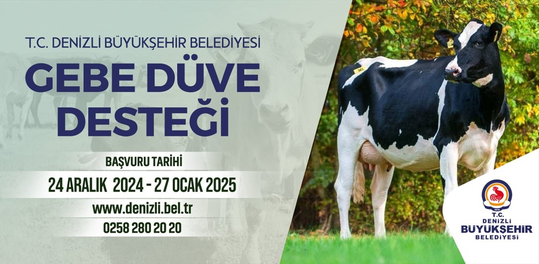 Denizli'de Köye Dönüş Artık Hayal Değil