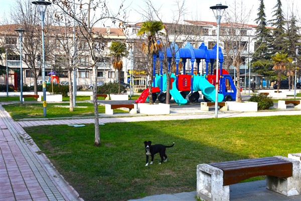 Gemlik'te çevre düzenleme çalışmaları devam ediyor