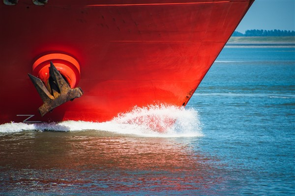 Selim Maritime'nin gemi satın alım işlemi