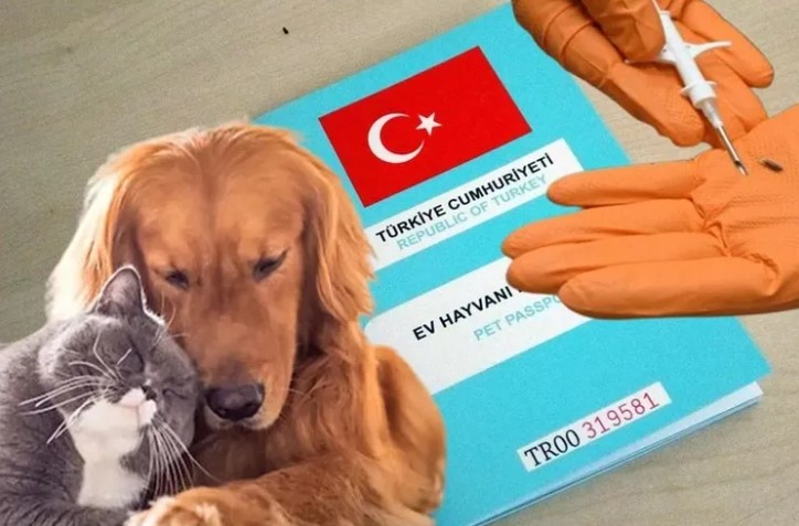 Kedi ve Köpeklerin Kimliklendirilmesi Süresi 2025’e Kadar Uzatıldı!