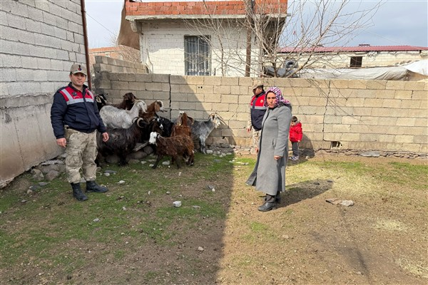 Şanlıurfa’da hayvan hırsızlığı yapan 7 şüpheli yakalandı