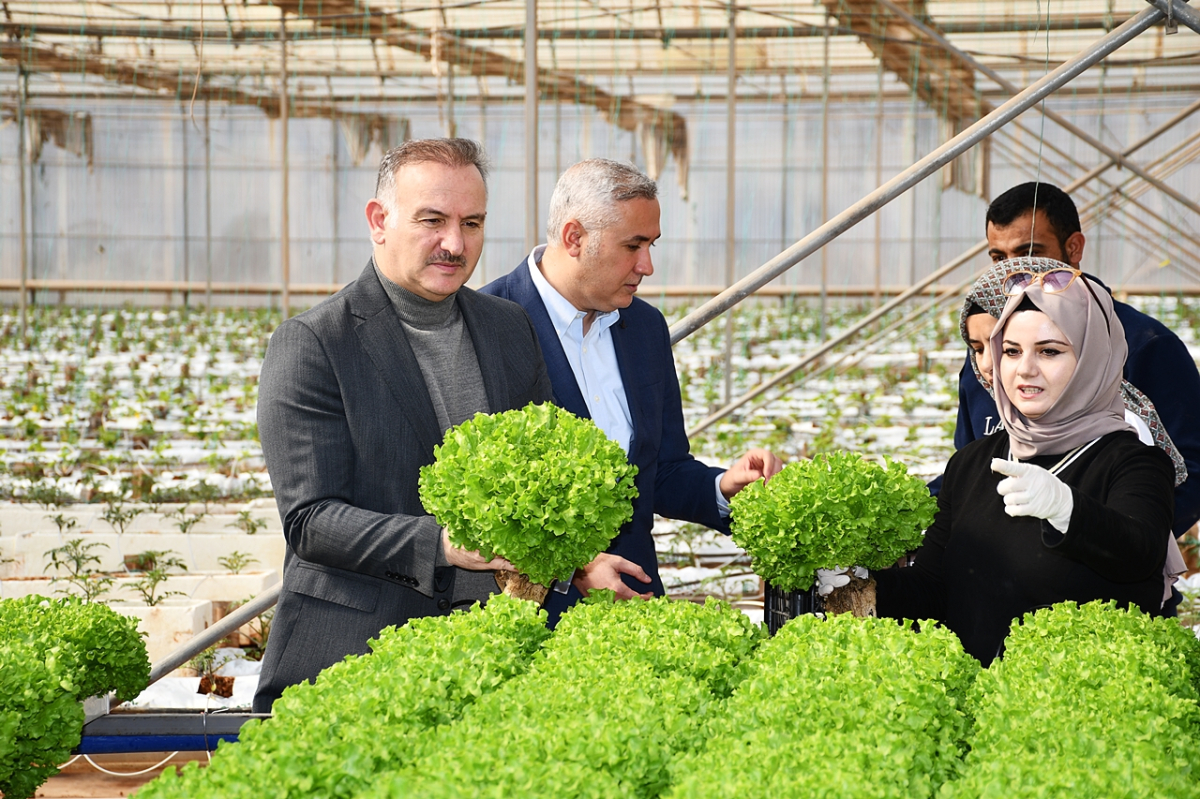 Harran Üniversitesi'nde Ar-Ge serası yeniden hayata geçirildi