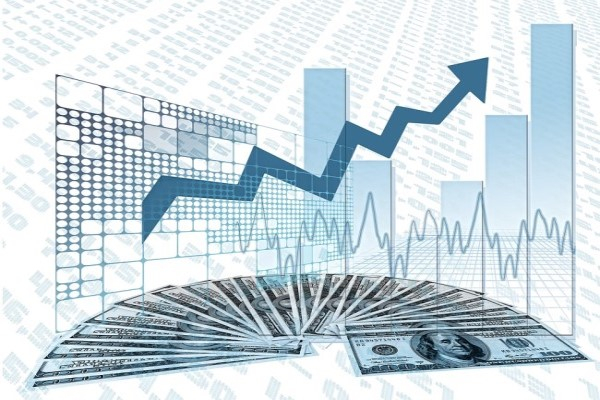 Anatolia Tanı'dan SPK başvurusu