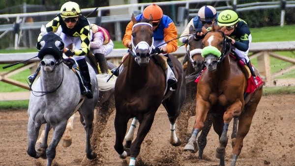 At yarışları için karar Mayıs'ta alınacak