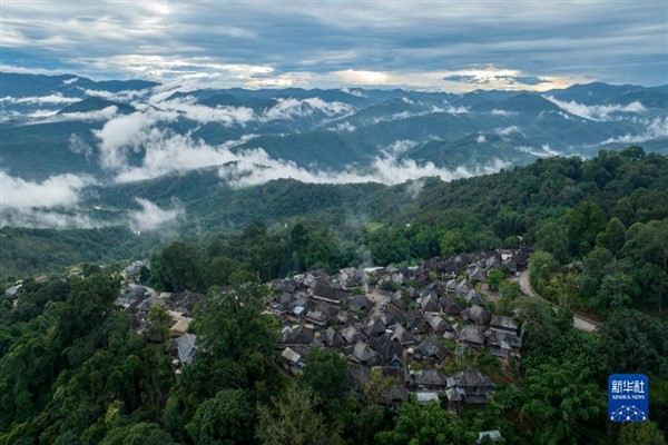 Jingmai Dağı'ndaki çay ormanları, Dünya Mirası Listesi'ne alındı