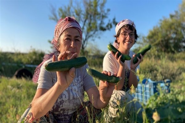 Yasaklanan tarım zehri aktif madde sayısı 223’e yükseldi