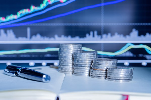 Borusan Yatırım ve Pazarlama'nın faaliyet raporu