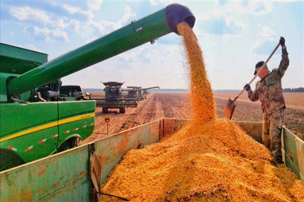 Çin, kişi başına 400 kilogramlık tahıl verimini 490’a çıkardı
