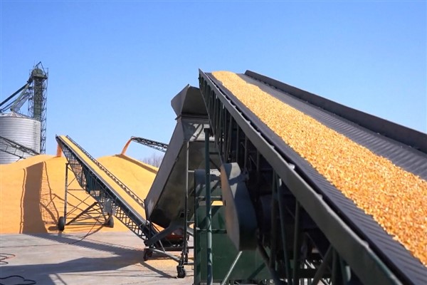 Çin sonbaharda tahıl alımının yüzde 80'inden fazlasını tamamladı