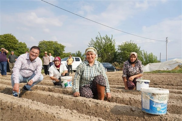 Milas Belediyesi’nden ilçe tarımına destek