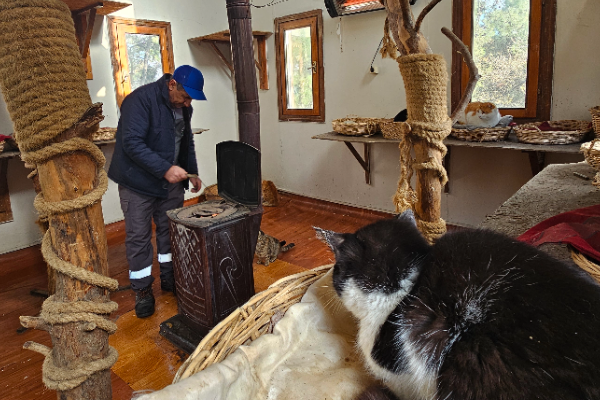 Osmangazi'de sobalar engelli kediler için yandı