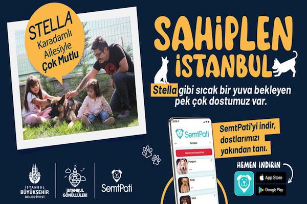 “Sahiplen İstanbul” projesi kapsamında 2023'de 218 köpek sahiplendirildi